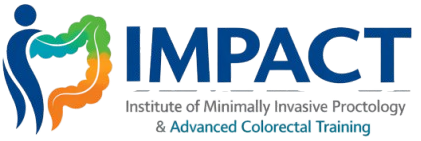 Impact Institute Logo